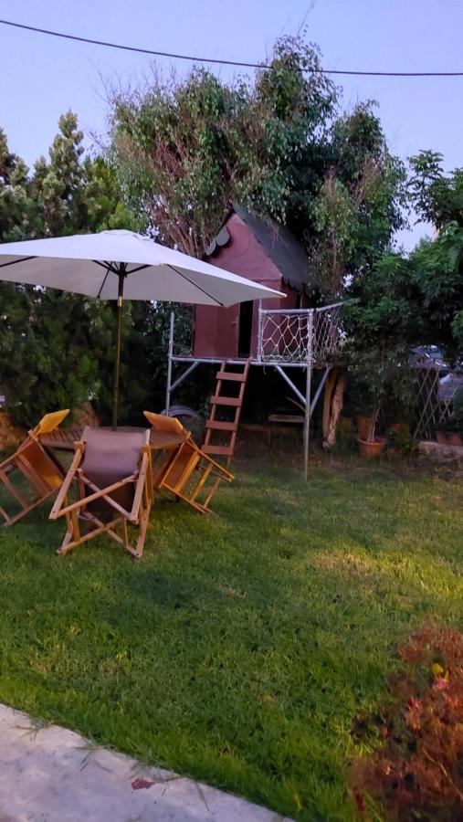 Diamant'S Place With Treehouse Garden Kounoupidhiana Exterior photo